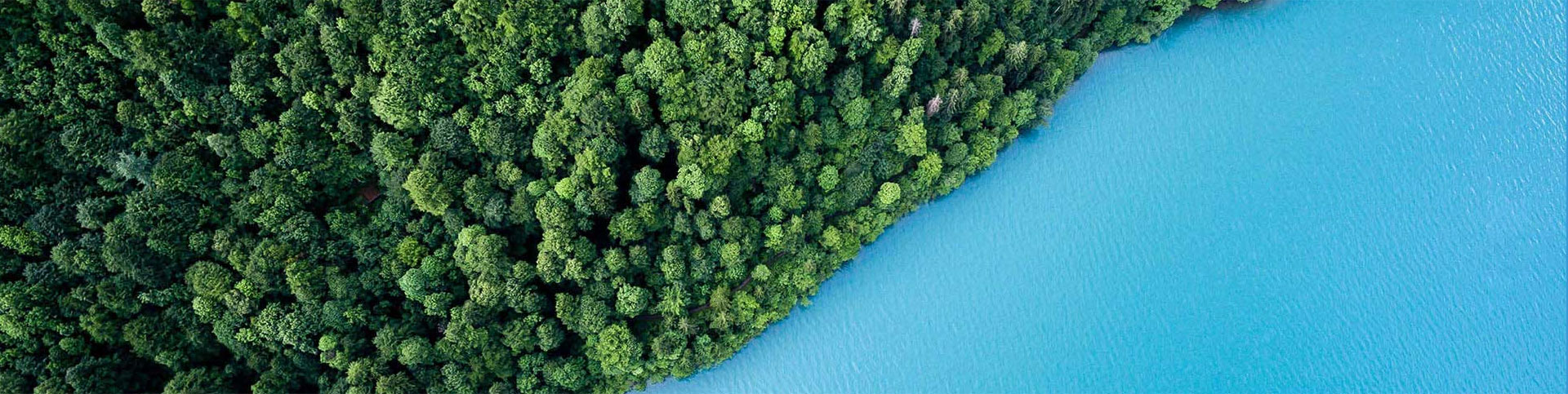 齐恒壹成产品系列